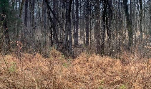 r chap road view into lot2