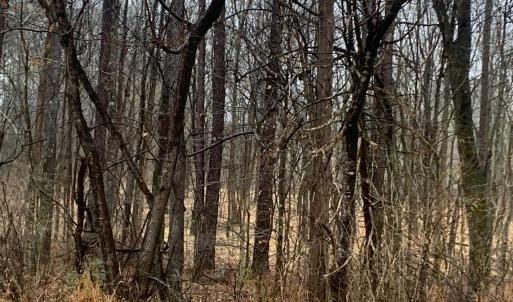 r chap road view into lot3