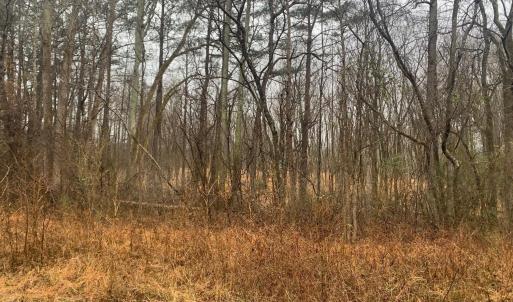 r chap road view into lot 1