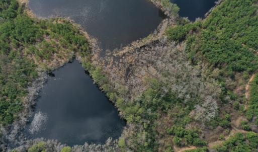 DJI_0183