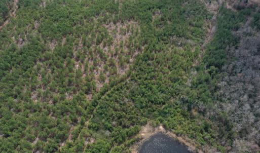 DJI_0181