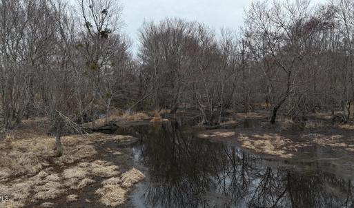 dji_fly_20260218_164746_0041_17714520529