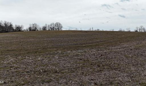 dji_fly_20260218_164516_0030_17714520566