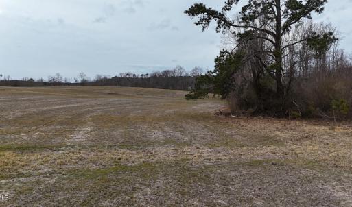 dji_fly_20260218_164420_0026_17714520579