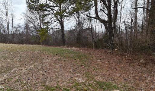 dji_fly_20260218_164454_0028_17714520573