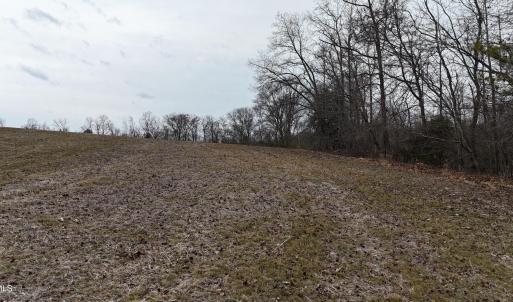 dji_fly_20260218_164520_0031_17714520564