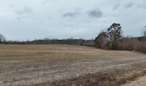 dji_fly_20260218_164302_0021_17714520593