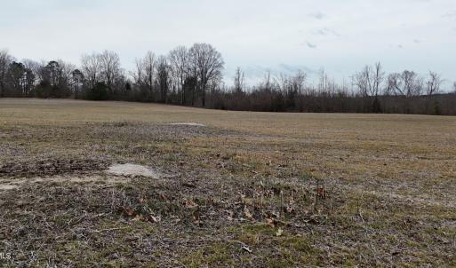 dji_fly_20260218_164558_0034_17714520553