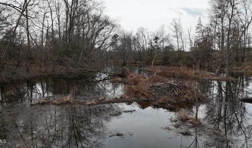 dji_fly_20260218_164650_0038_17714520540