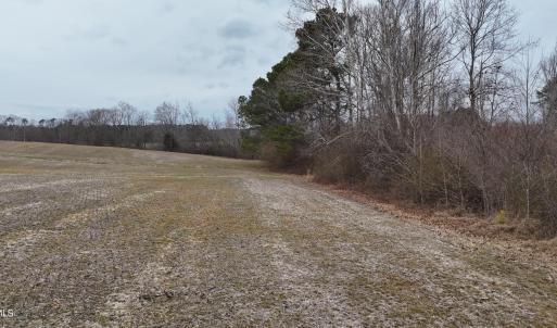 dji_fly_20260218_164430_0027_17714520576