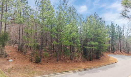 14-web-or-mls-DJI_20260225125536_0334_D