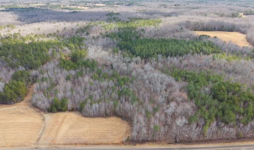 31-web-or-mls-DJI_20260223124407_0081_D