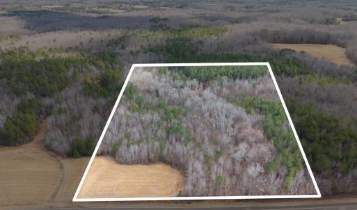 48-web-or-mls-DJI_20260223124407_0081_D_