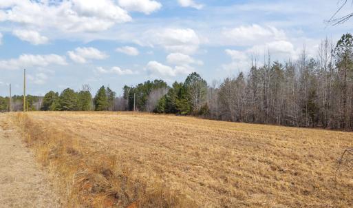 36-web-or-mls-DJI_20260223124504_0086_D