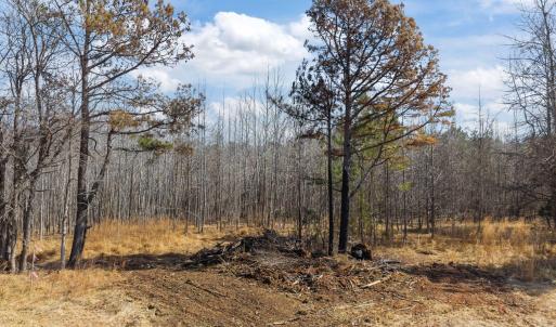 15-web-or-mls-DJI_20260223123514_0062_D