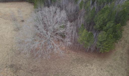 DJI_0739