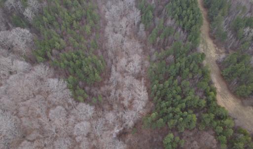 DJI_0734