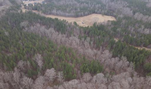 DJI_0736