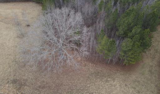 DJI_0739
