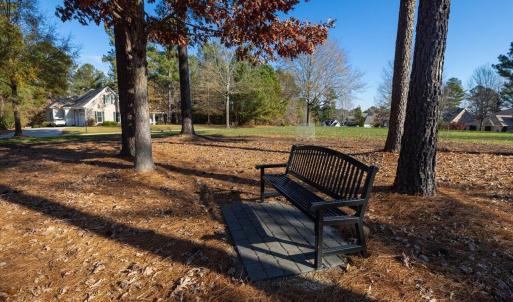 31-031-Lot398-CR-20241205