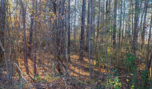 28-28-Lot488-CR-20241205