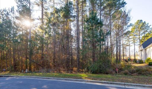 31-31-Lot488-CR-20241205