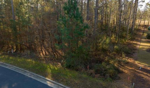 33-33-Lot488-CR-20241205