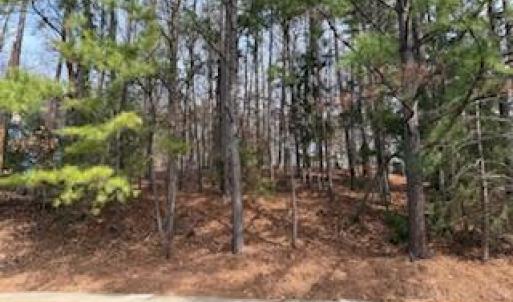 111 Bolinwood Dr. View 1