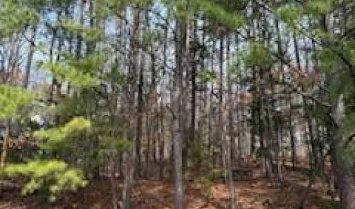 111 Bolinwood Dr. View 2