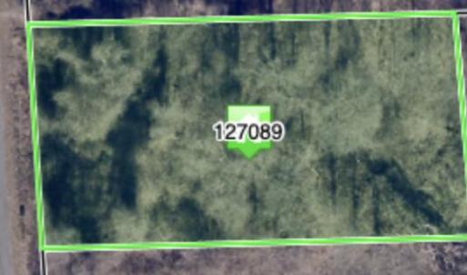 Screenshot 2026-03-03 at 8.54.32PM