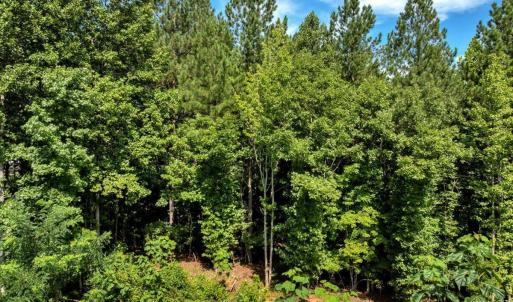 14-DJI_20250718160334_0261_D