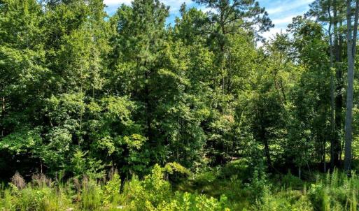 17-DJI_20250718160426_0276_D