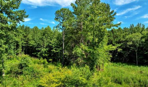 13-DJI_20250718160208_0256_D