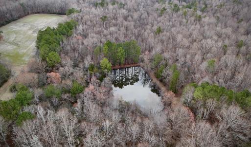 Aerial Pond View