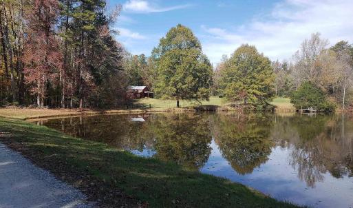 pond