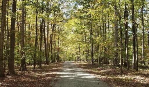 gravel road