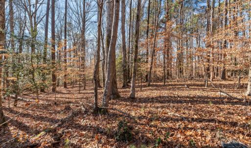 15-web-or-mls-DSC07598