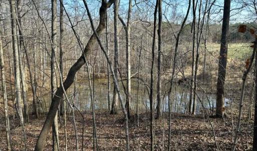 647062385_3341945052649829_8020462397313