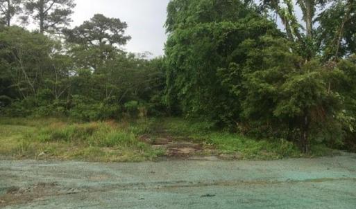 Photo #4 of 2022 Holland Road, Suffolk, Virginia 0.9 acres