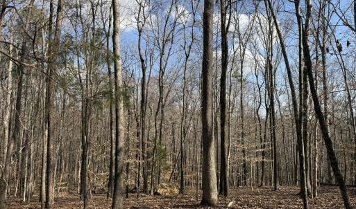 Wooded