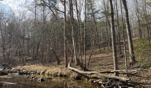 Creek
