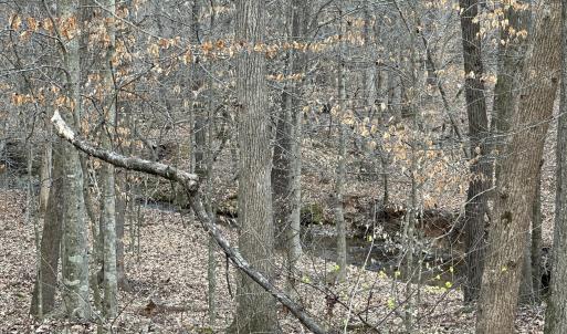 Morgan Creek below back side of Property