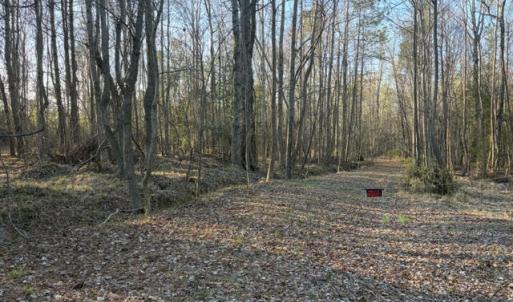 Lot 1 former farm drive