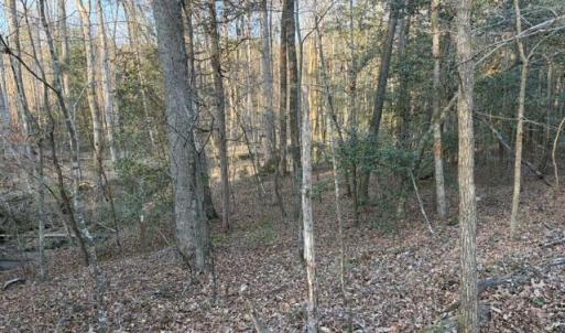 Lot Rear Property Line