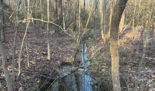 Lot 1 Creek