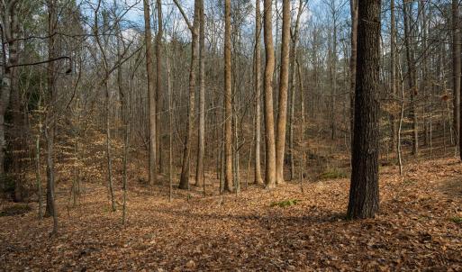 500MarvinEdwardsLn-041