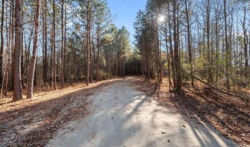 Olde North Lot 9 - 9.5 ACRES