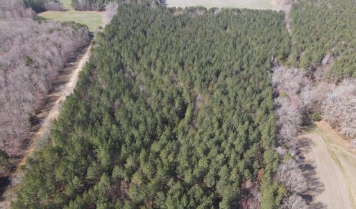 DJI_0767