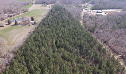 DJI_0768