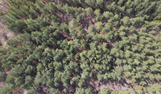 DJI_0774